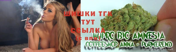 шишки Армянск