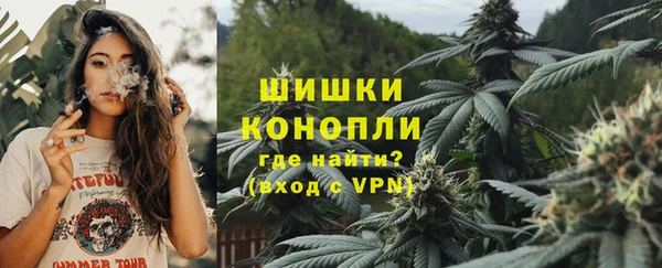 эйфоретик Аркадак