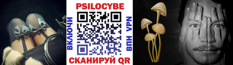 магазин  наркотиков  MEGA онион  Псилоцибиновые грибы GOLDEN TEACHER  Петропавловск-Камчатский 
